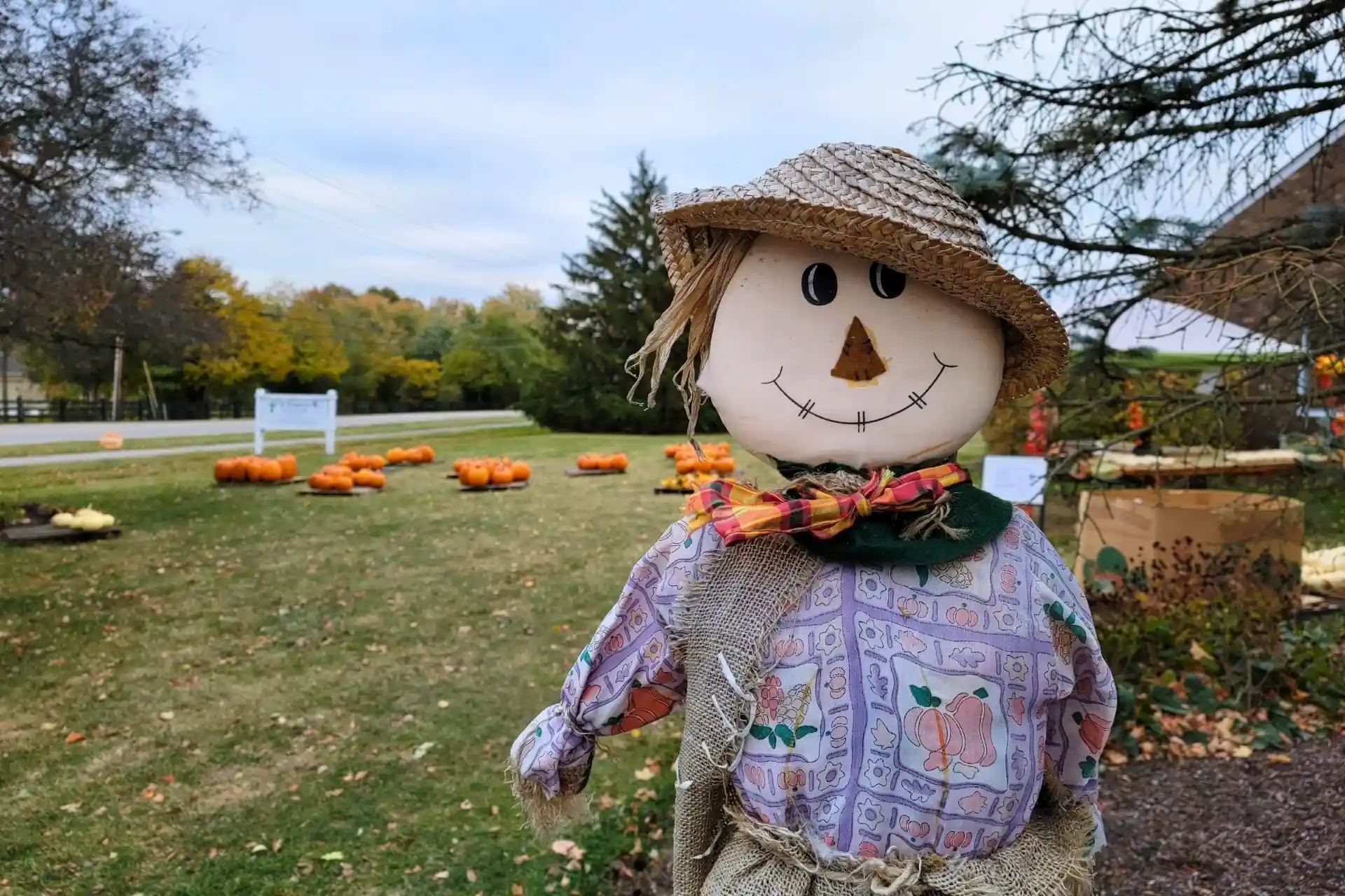 Pumpkin Patches, Apple Orchards & Fall Destinations Near Zionsville and Indianapolis