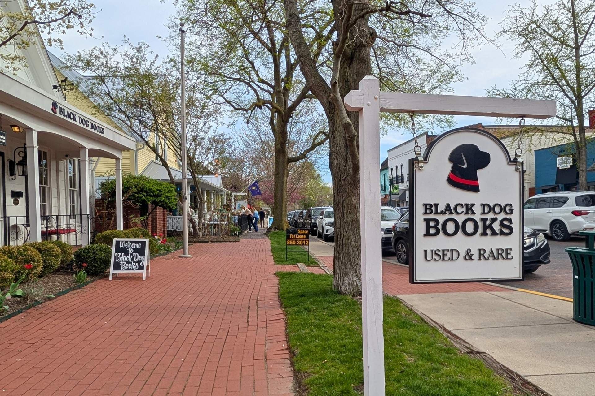 Quiet morning along Main Street in downtown Zionsville