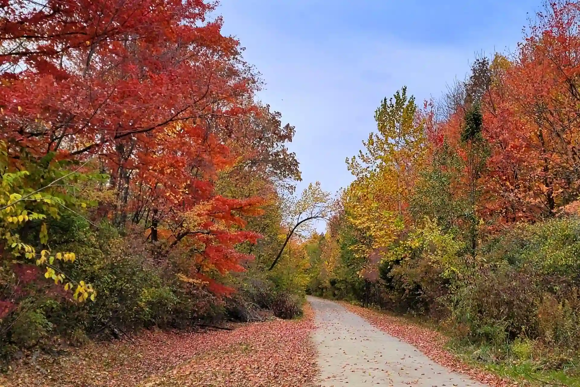 Fall Activities in Zionsville 2026