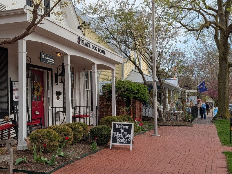 Black Dog Books in Zionsville, Indiana