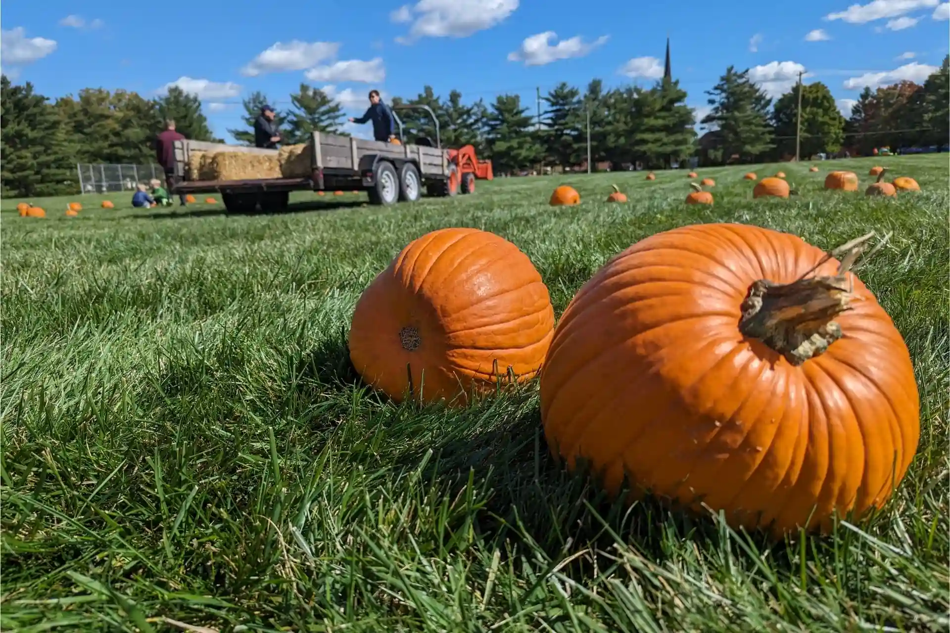 Pumpkins scattered across a grassy field during Pumpkinfest in Zionsville, with a tractor and hay wagon in the background.