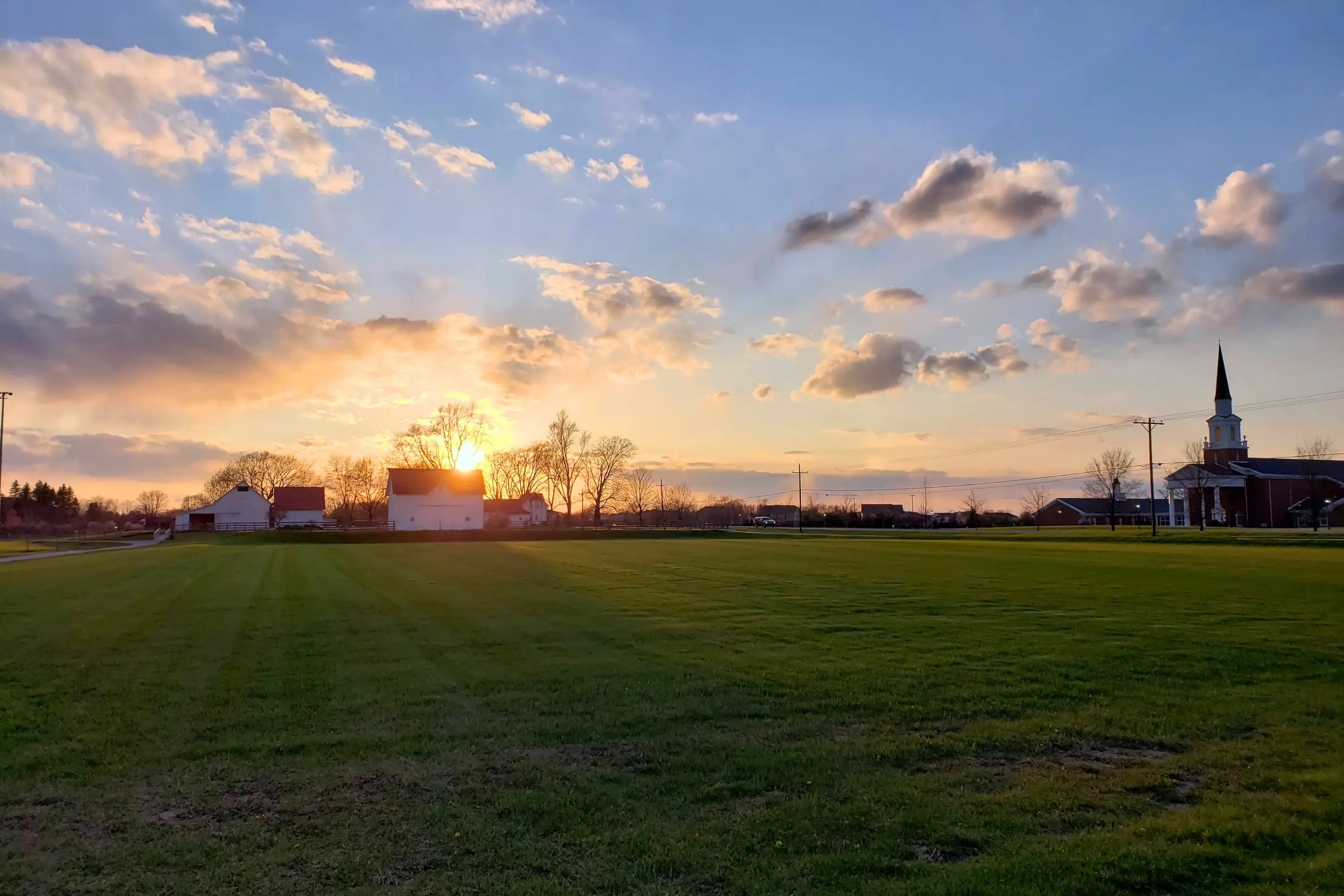 Mulberry Fields Park