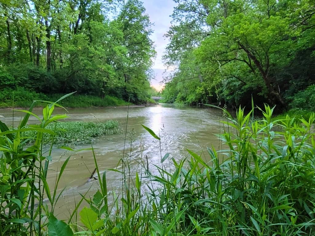 Creekside Nature Park