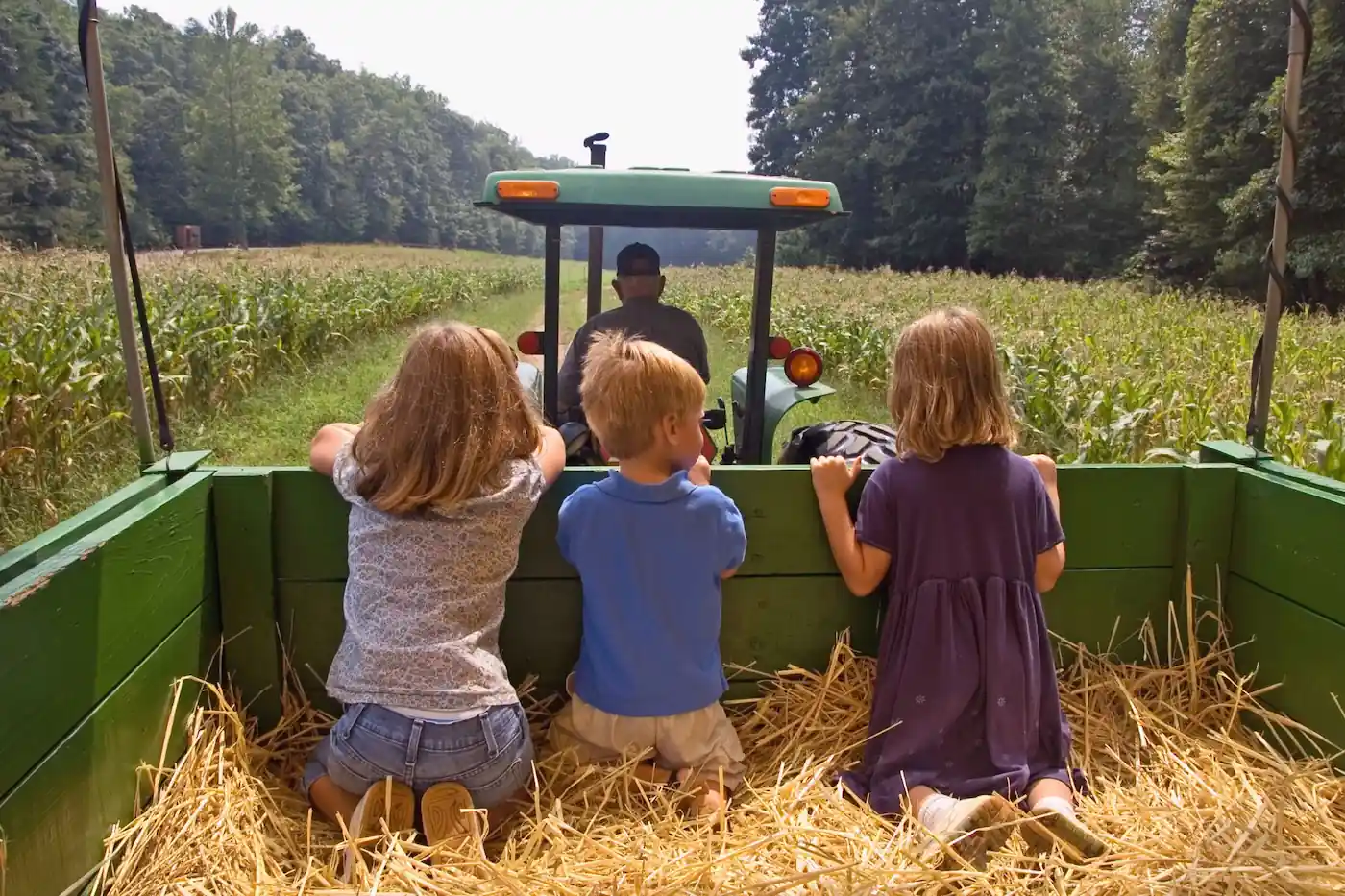 Three young children kneeling on straw inside a green wagon pulled by a tractor through a corn field.
