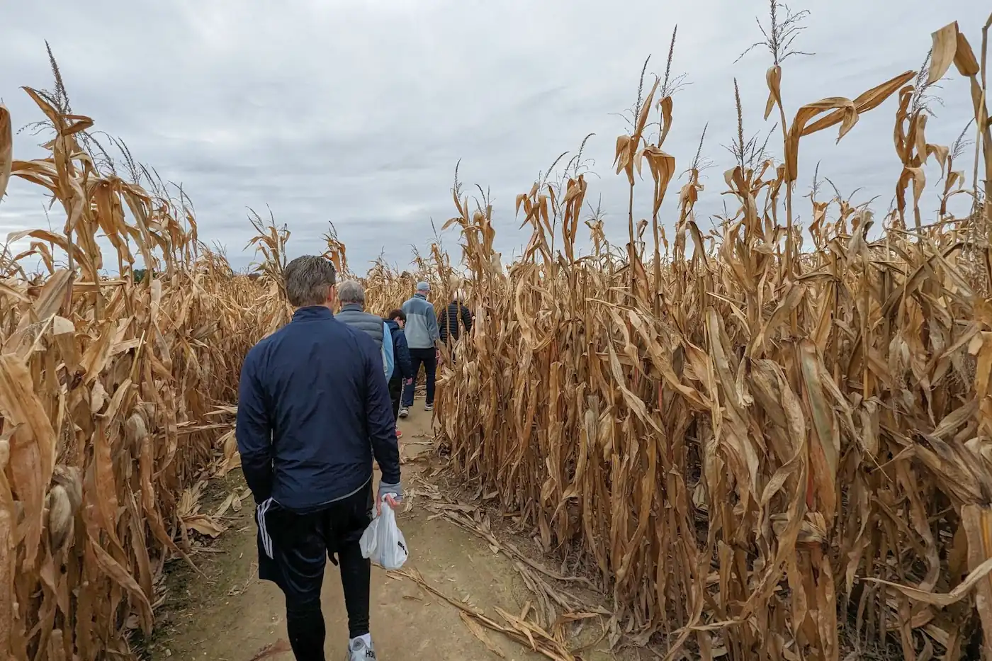 Visitors walking down a dirt trail through tall corn stalks inside the corn maze at Russell Farms in Noblesville, Indiana.