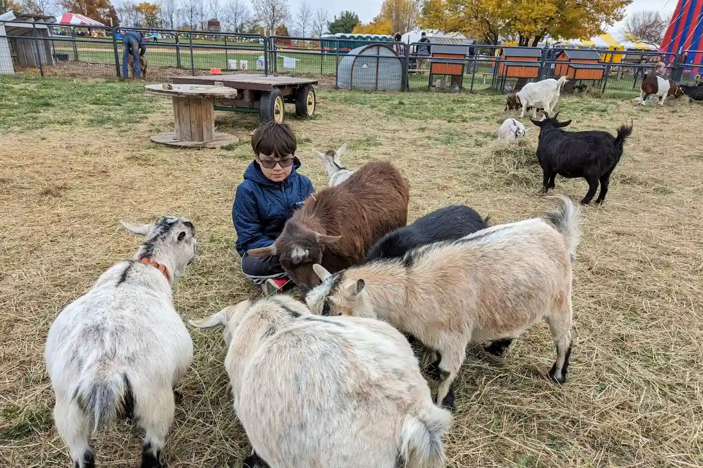 A young boy sitting in straw surrounded by goats in the petting zoo area at Russell Farms in Noblesville, Indiana.