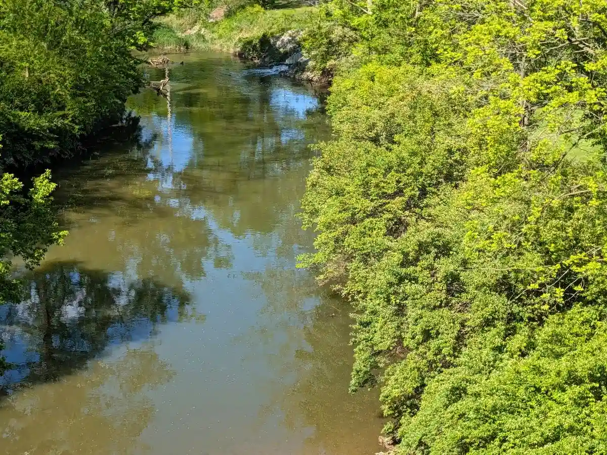 An elevated view looking down at the calm water and lush green, tree-lined banks of Eagle Creek from the historic 1919 railroad bridge in Zionsville, Indiana.