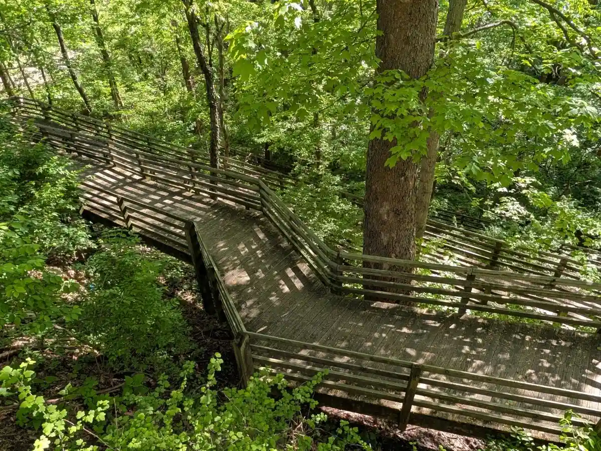 A wooden boardwalk with handrails forming a series of switchbacks as it descends a steep, shaded hillside into the woods at the Starkey Park Trail 1 junction.