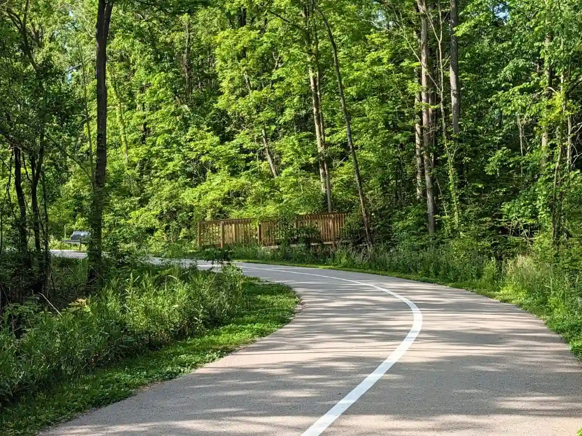 A winding paved curve with a painted white centerline on the Big-4 Rail Trail, surrounded by dense green trees and a wooden bridge structure in Zionsville, Indiana.