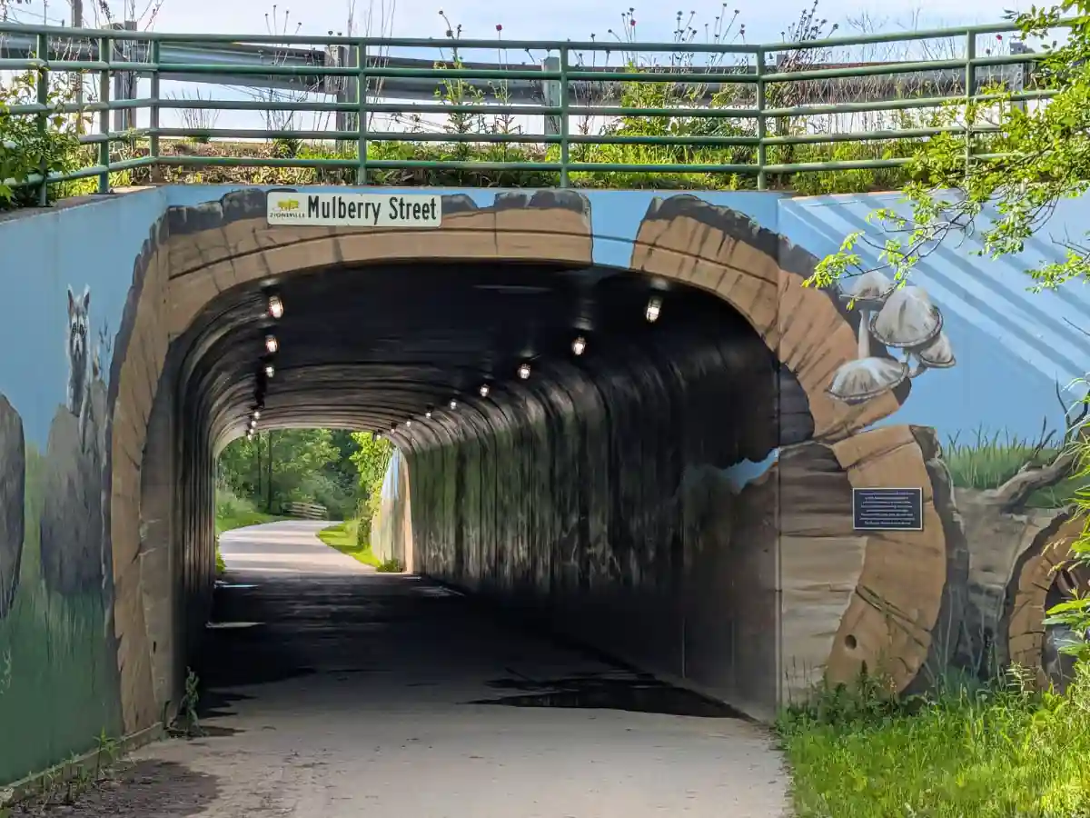 A concrete underpass tunnel on the Big-4 Rail Trail beneath Mulberry Street, featuring a detailed outdoor mural painted to look like a large hollow log with a raccoon and wild mushrooms. Overhead lights illuminate the paved path leading through the tunnel.