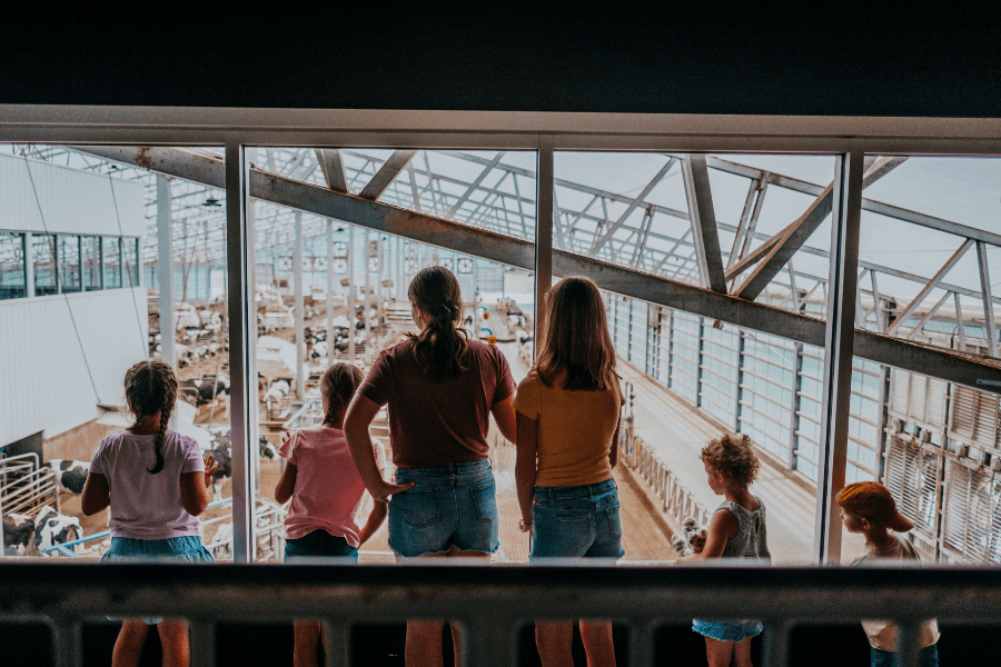 A parent and several children stand with their backs to the camera, looking through a large viewing window into a modern, covered dairy barn filled with Holstein cattle.