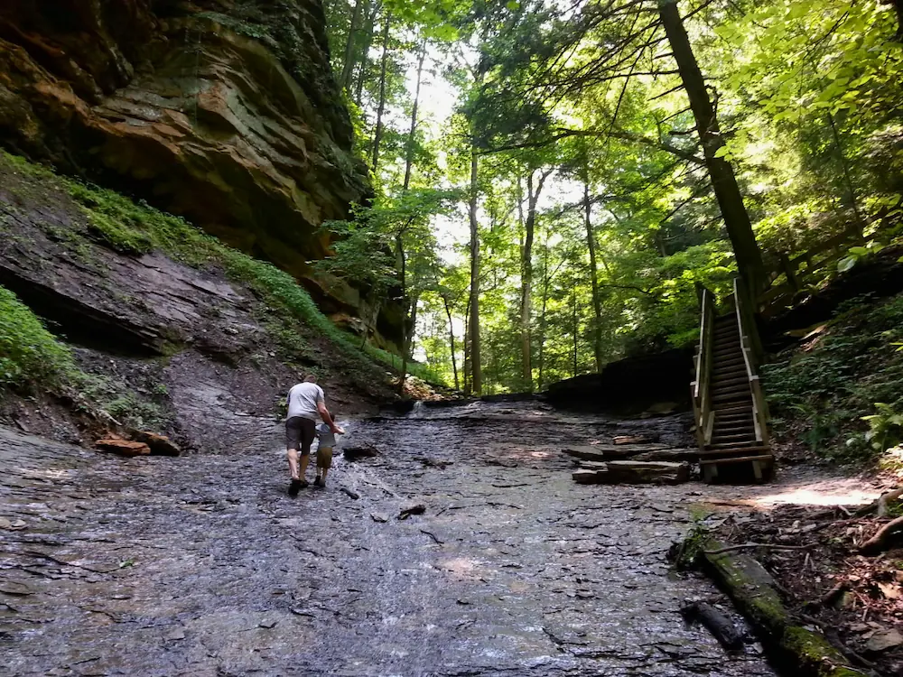 A father and young child walk hand-in-hand up a wet, rocky ravine bed at Turkey Run State Park in Indiana, with high sandstone cliffs and green forest trees framing the canyon trail.