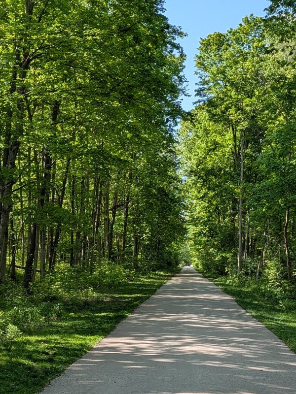A straight, paved section of the Big-4 Rail Trail in Zionsville, Indiana, lined with mature green trees forming a lush canopy over the path on a sunny day.