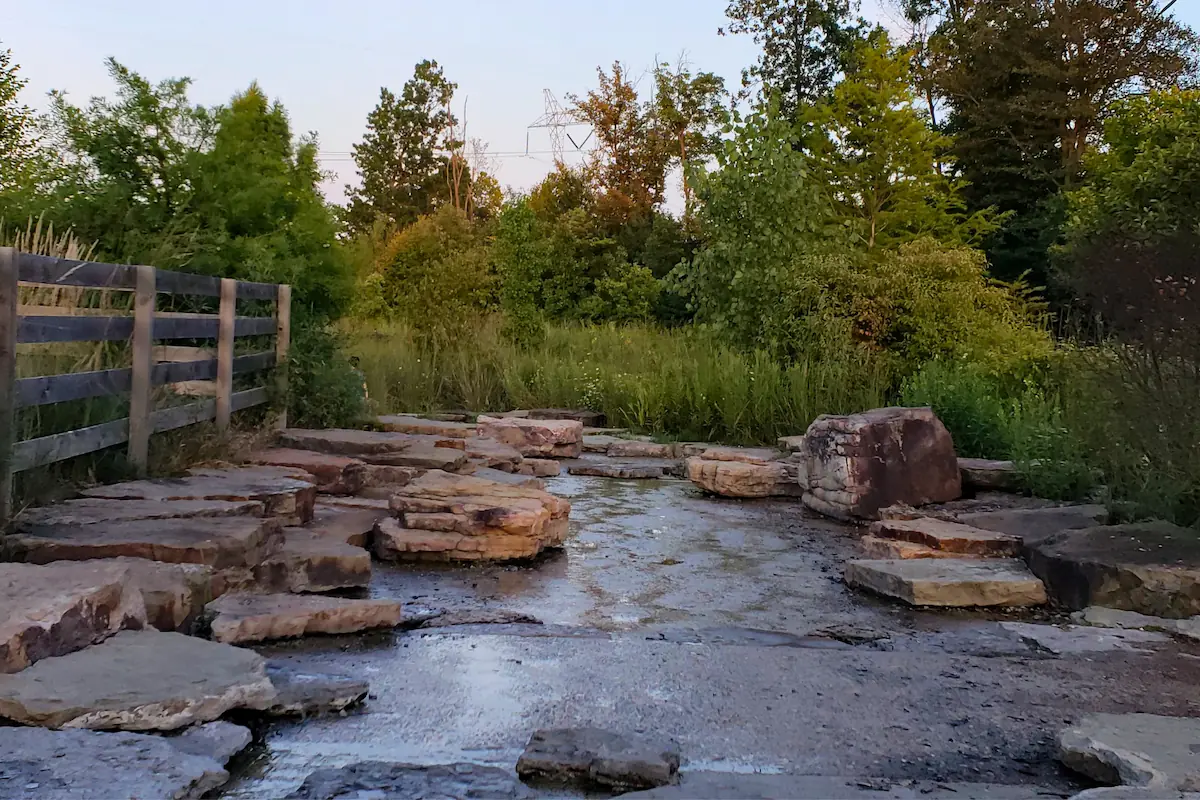 Flat limestone steps and native prairie grasses along the man-made rocky creek bed at Mulberry Fields Park.