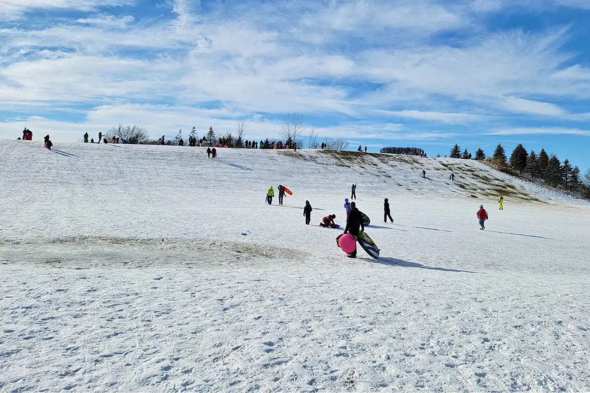 Families climbing and sledding down the snow-covered public sledding hill at Mulberry Fields Park in Zionsville during winter.