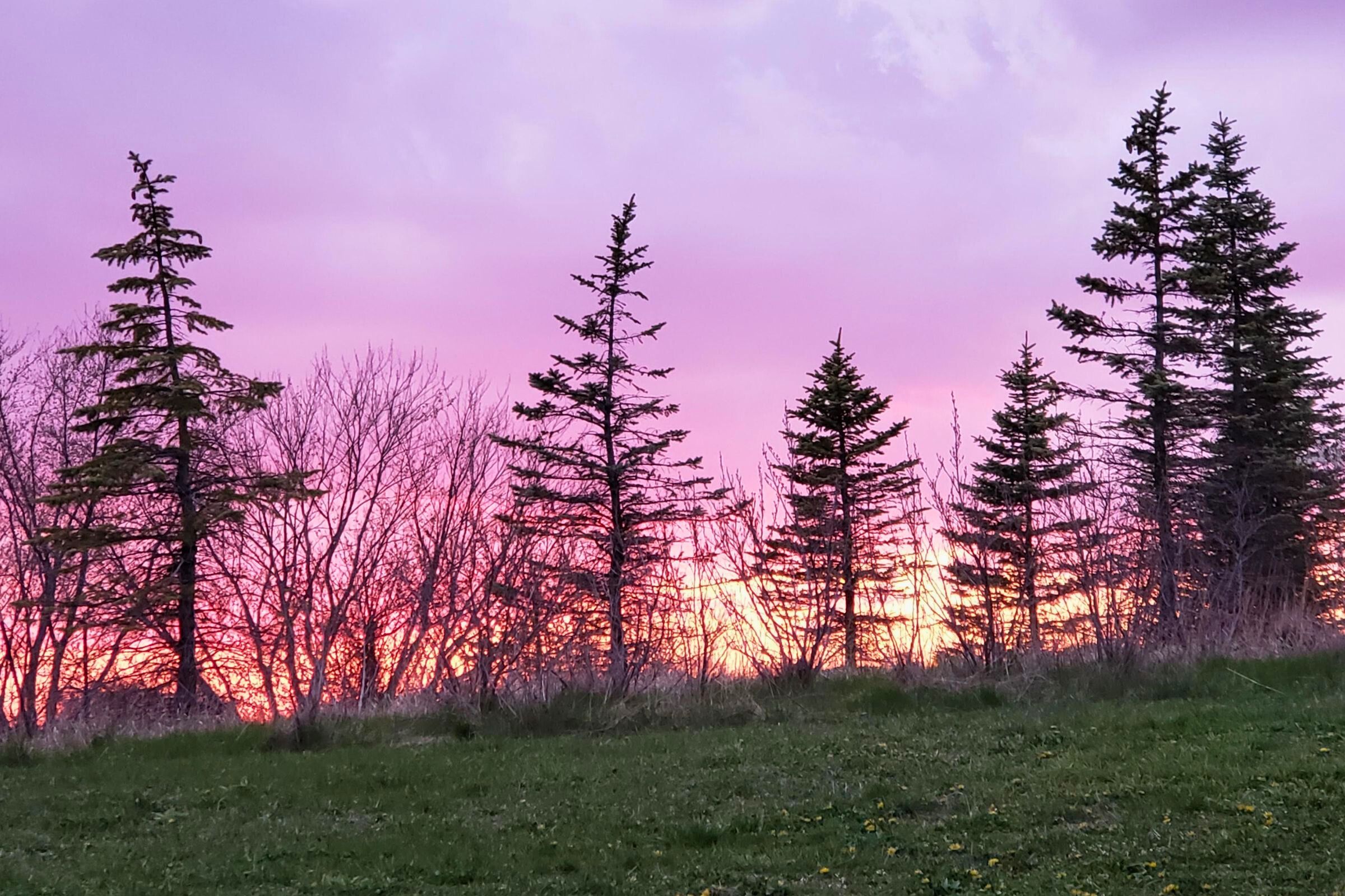 Sunset in Mulberry Fields park in Zionsville, Indiana