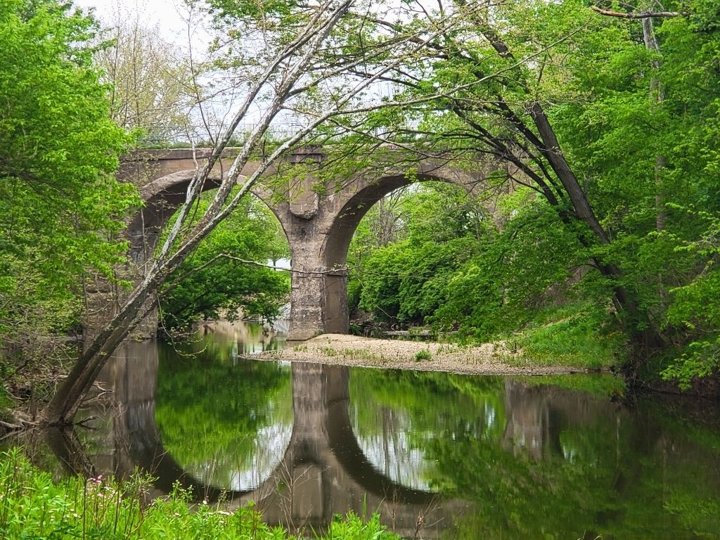 View from a trail in Starkey Park
