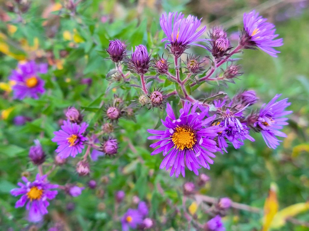 Zion Nature Sanctuary